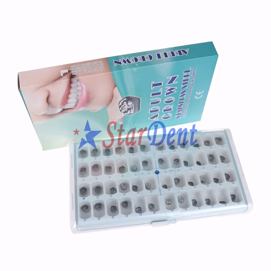 Stainless Steel Dental Primary Molar Crown for Adults
