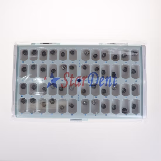 Stainless Steel Dental Primary Molar Crown for Adults